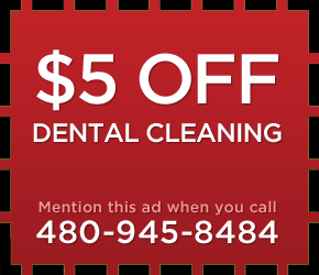 Mesa Dog teeth cleaning Special